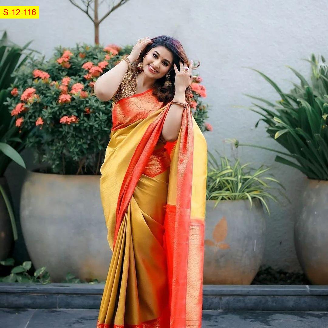 Banarasi tissue soft silk Sarees